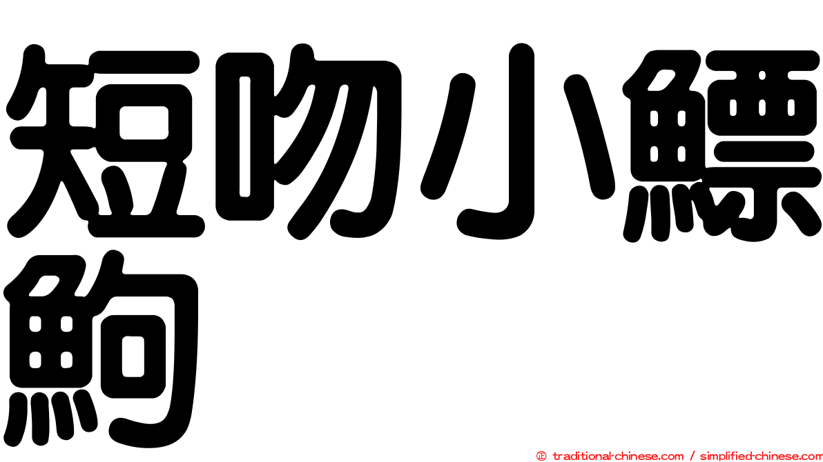 短吻小鰾鮈