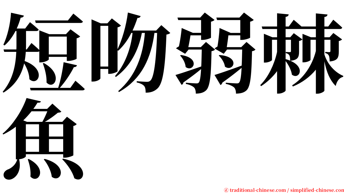 短吻弱棘魚 serif font