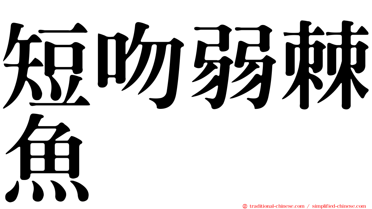 短吻弱棘魚