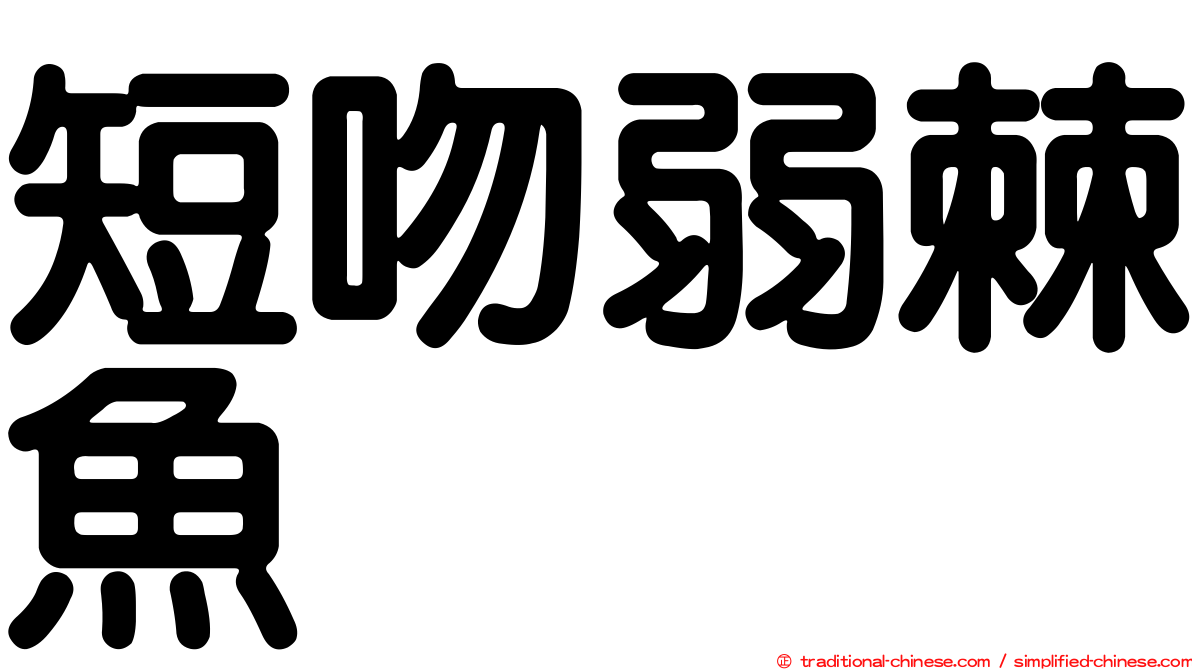 短吻弱棘魚
