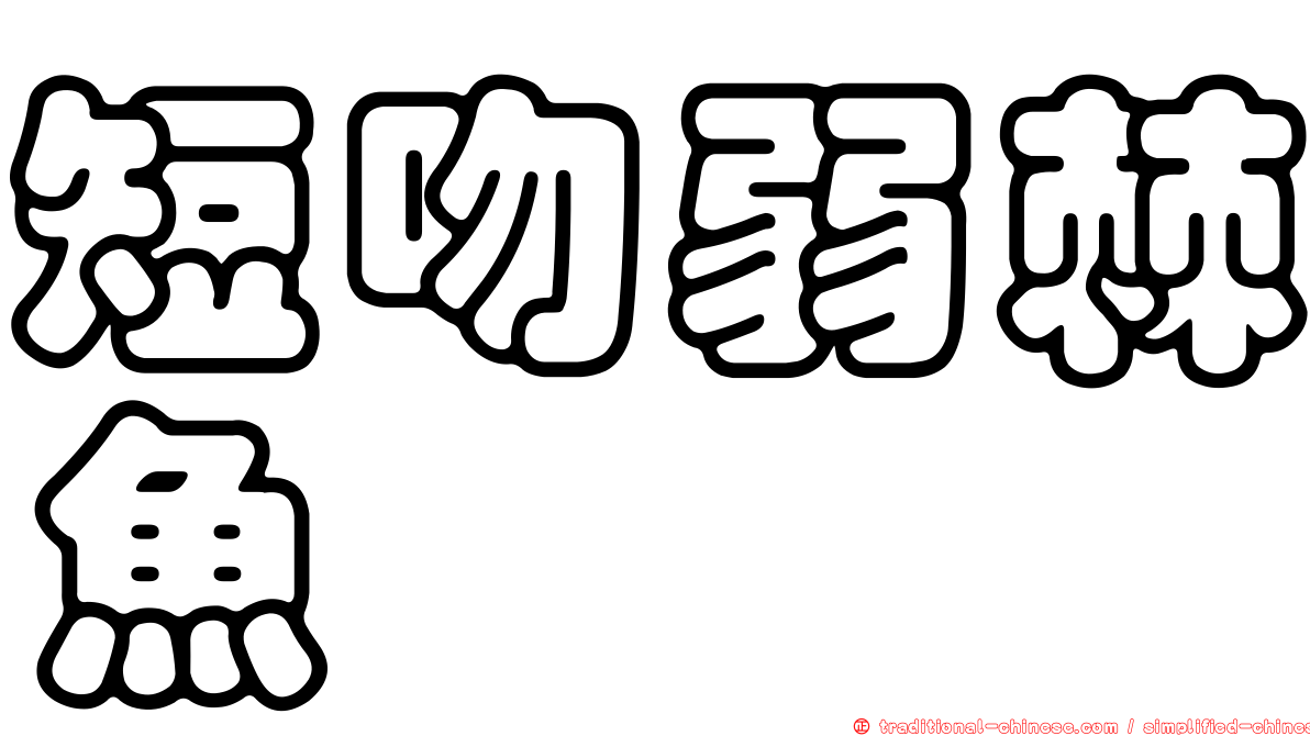 短吻弱棘魚