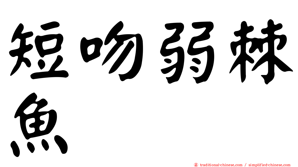 短吻弱棘魚
