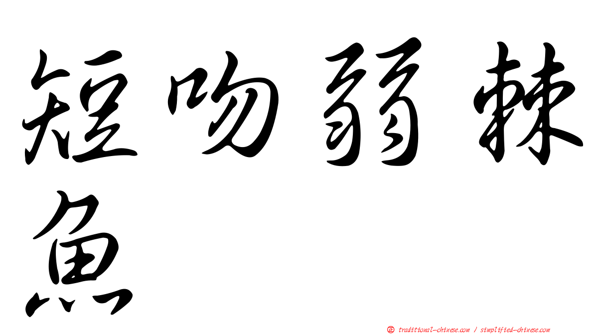 短吻弱棘魚