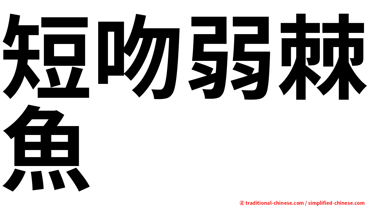 短吻弱棘魚