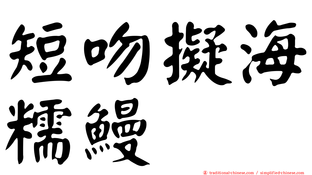 短吻擬海糯鰻