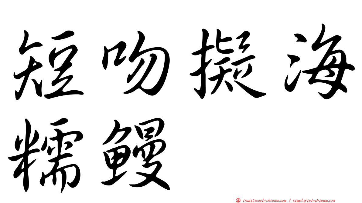 短吻擬海糯鰻