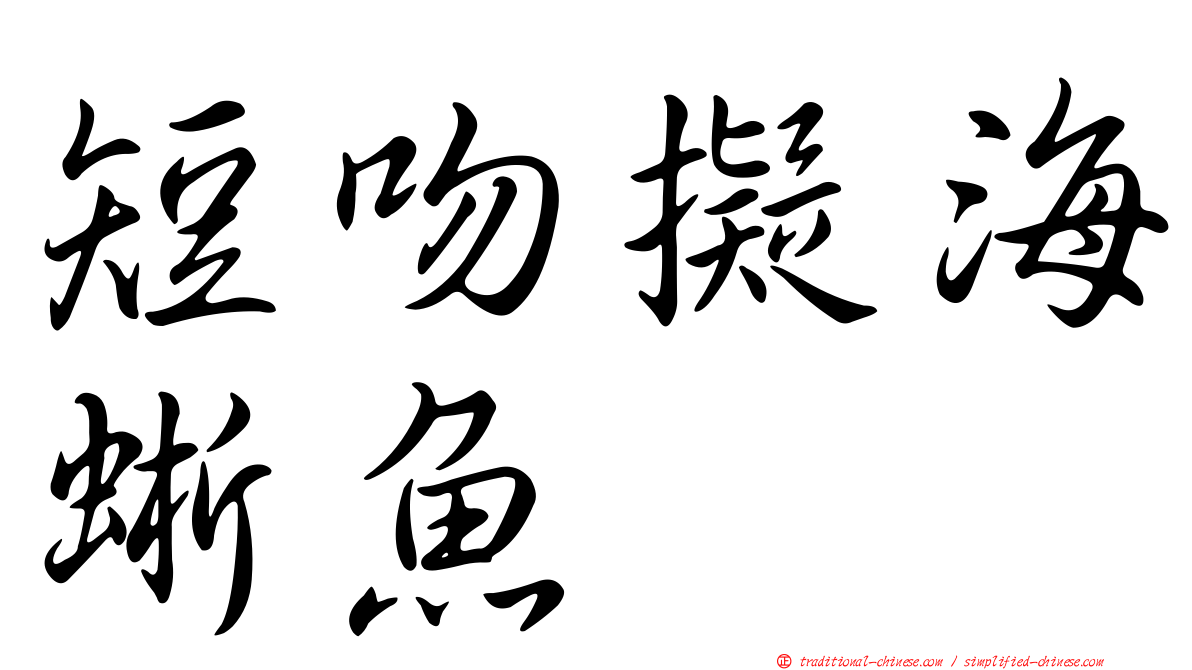 短吻擬海蜥魚