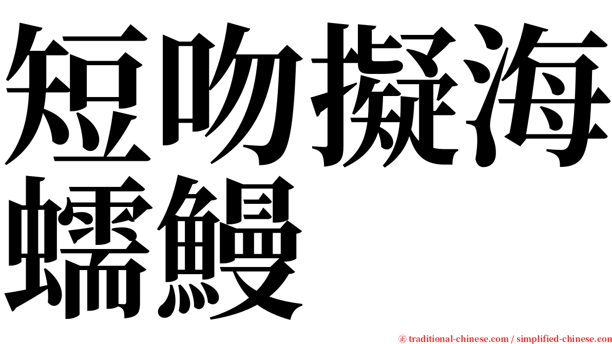 短吻擬海蠕鰻 serif font
