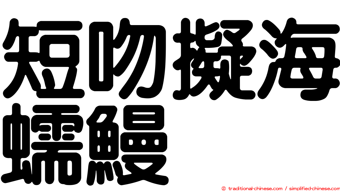 短吻擬海蠕鰻