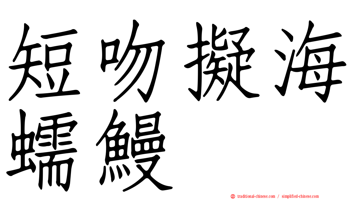 短吻擬海蠕鰻