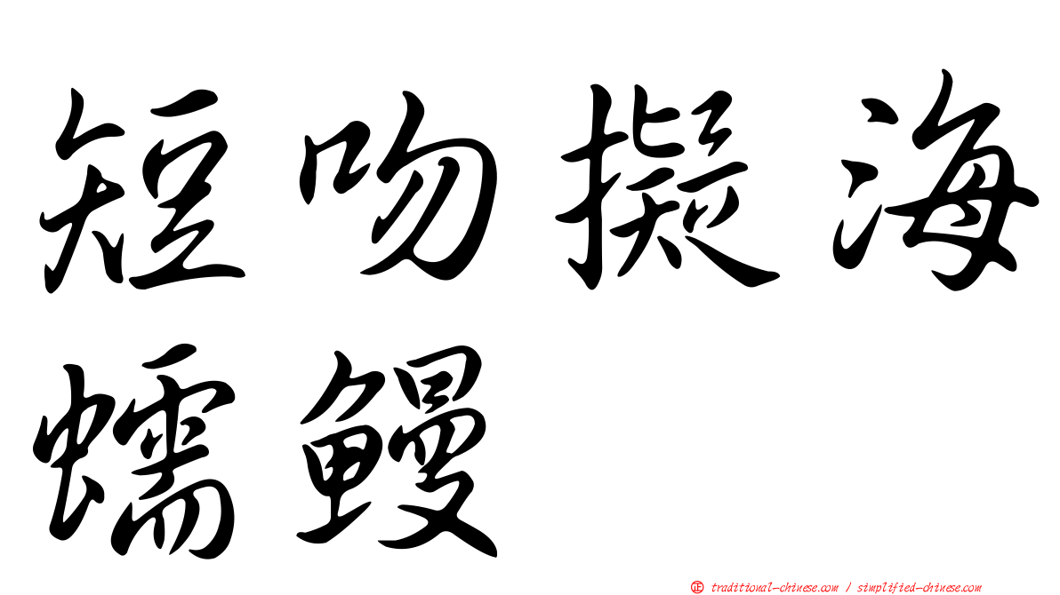 短吻擬海蠕鰻