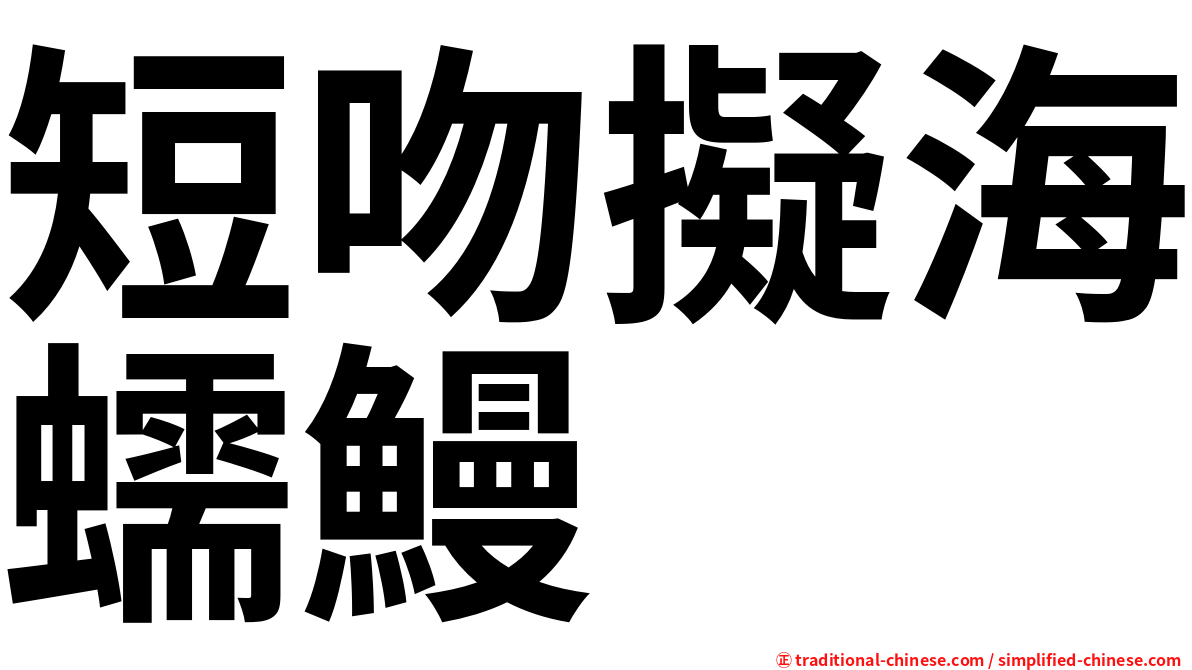 短吻擬海蠕鰻