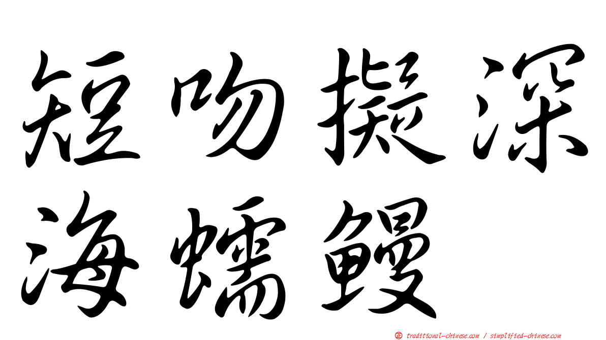 短吻擬深海蠕鰻
