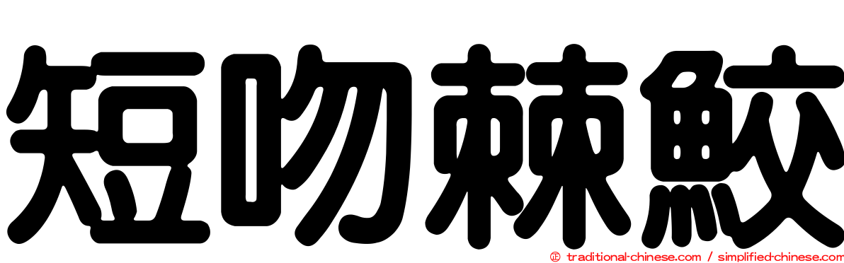 短吻棘鮫