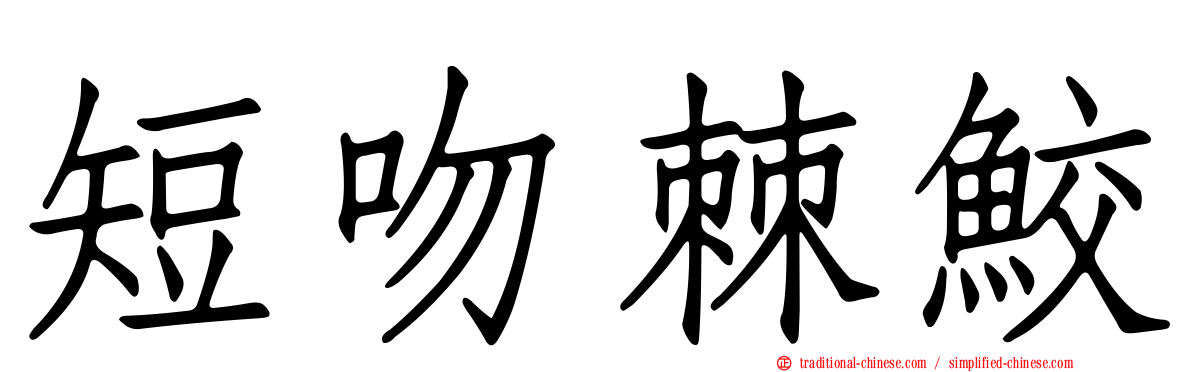 短吻棘鮫