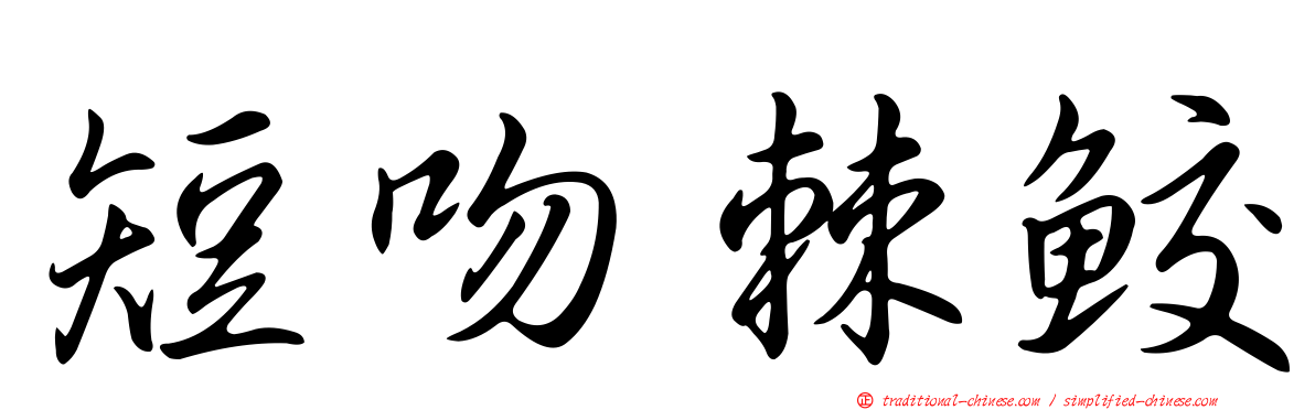 短吻棘鮫