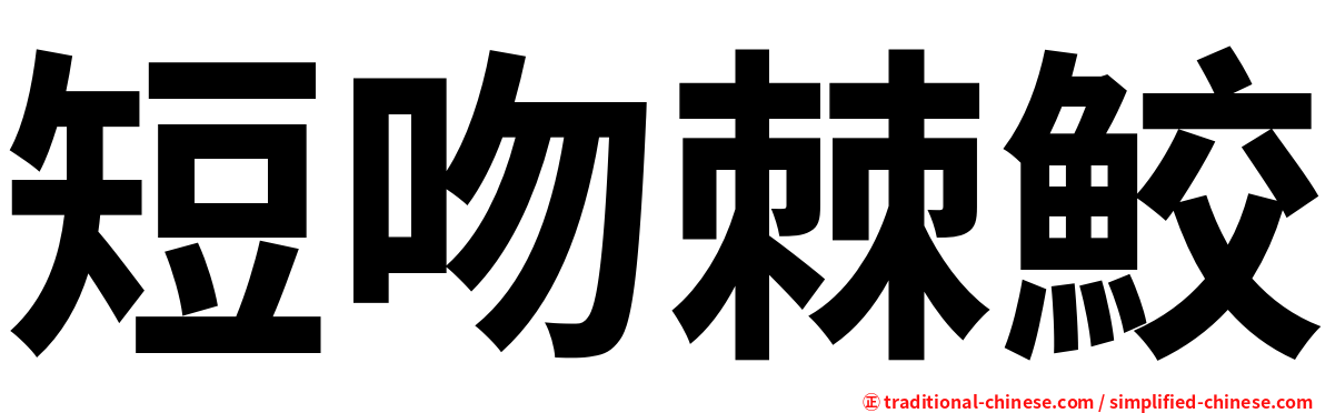 短吻棘鮫
