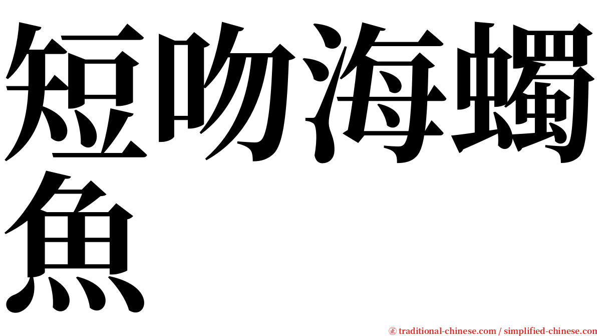 短吻海蠋魚 serif font
