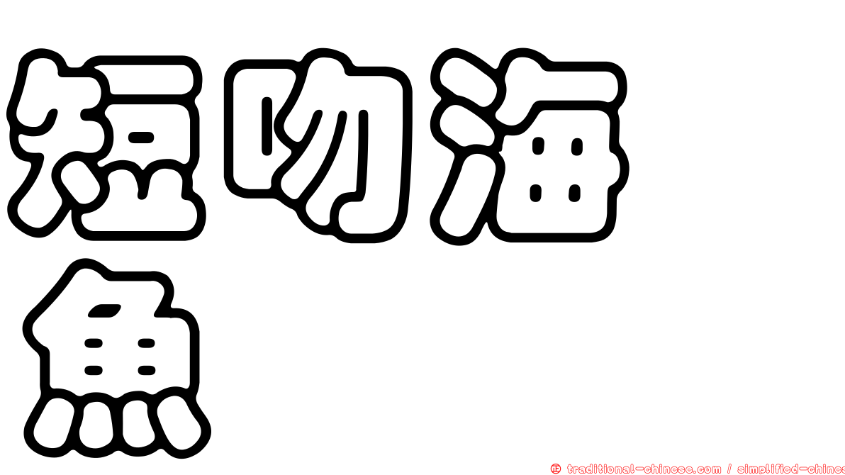 短吻海蠋魚