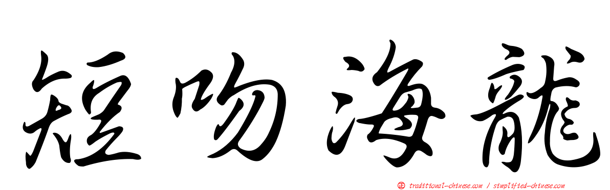 短吻海龍