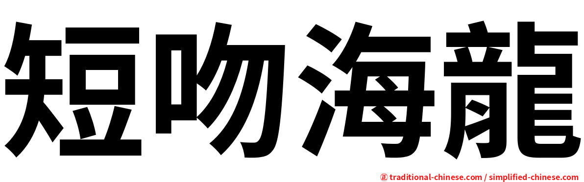 短吻海龍