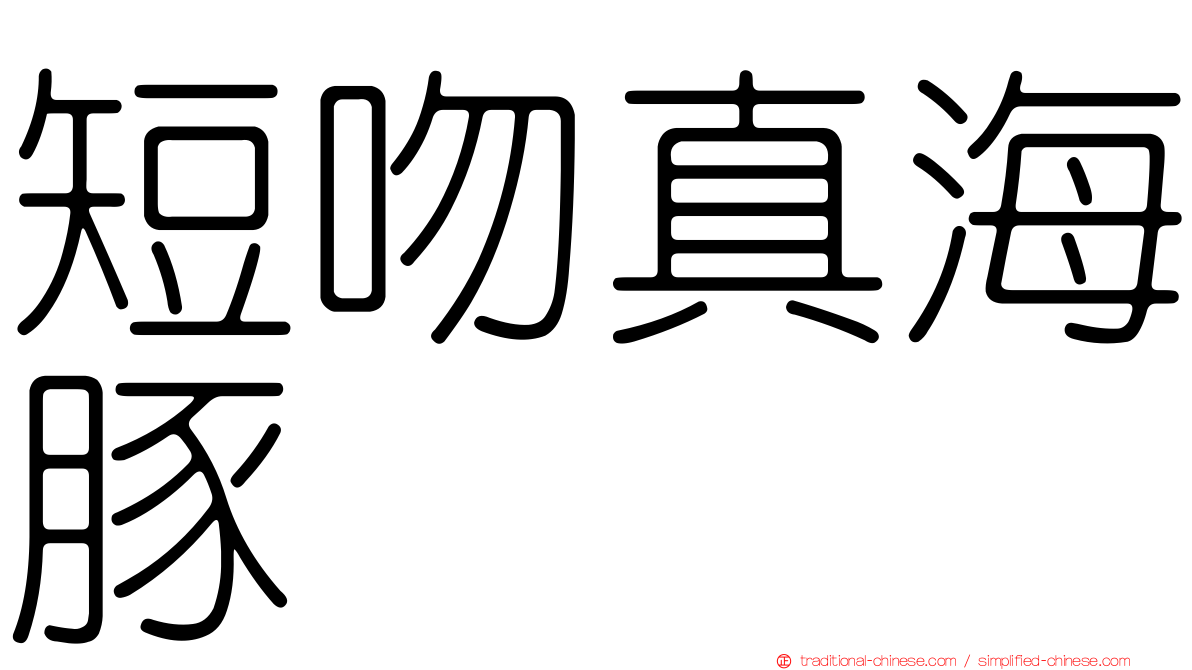 短吻真海豚