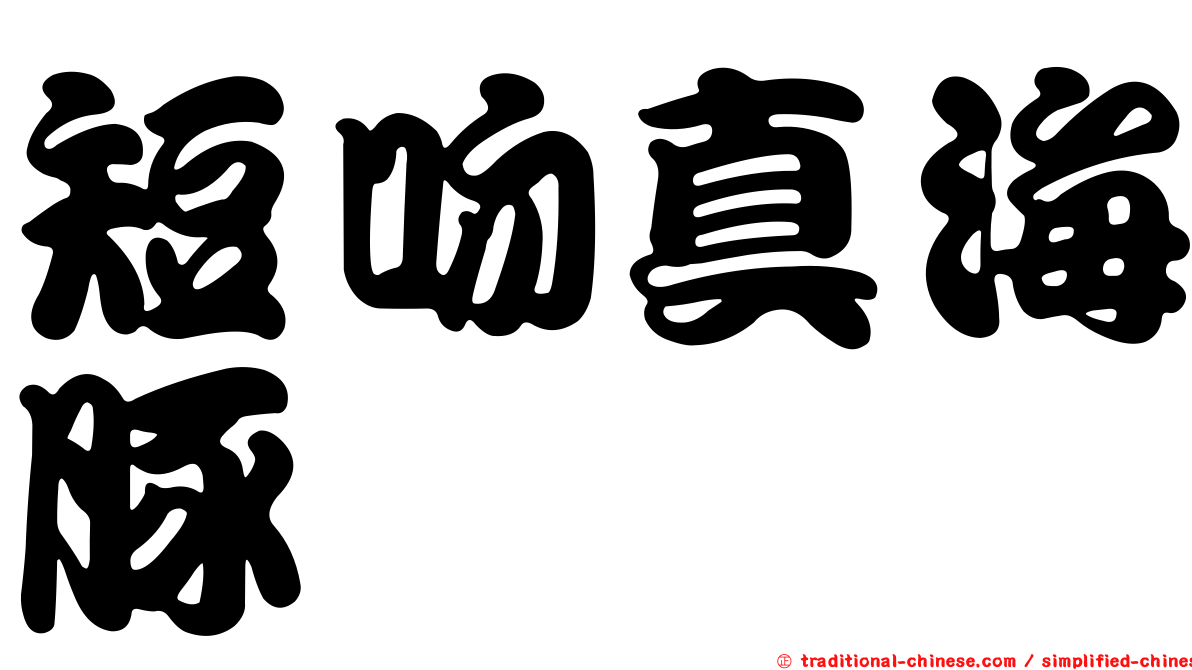 短吻真海豚