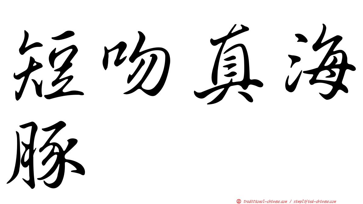 短吻真海豚