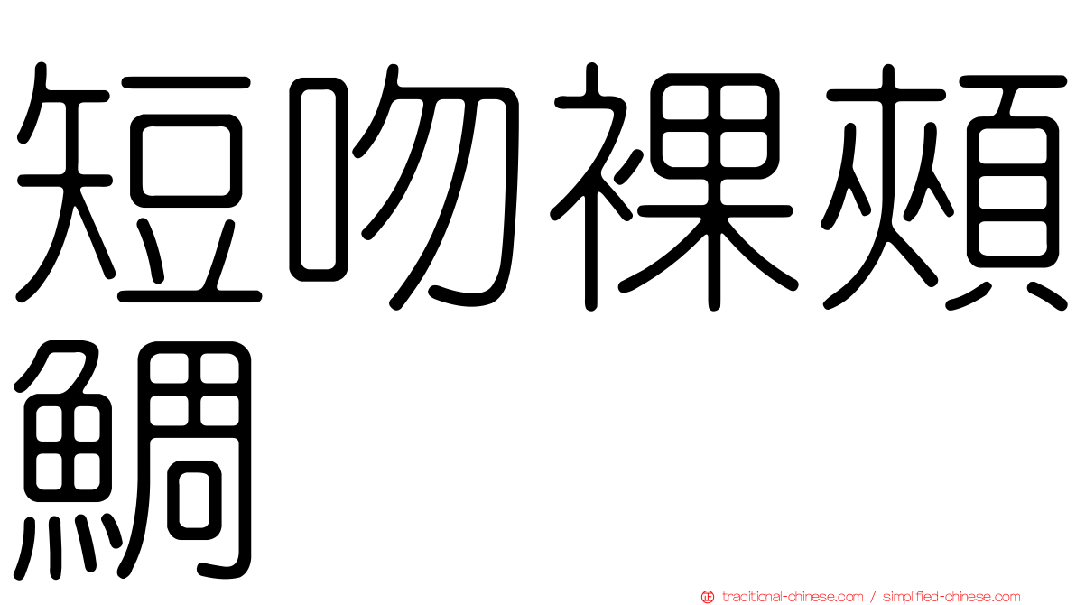短吻裸頰鯛