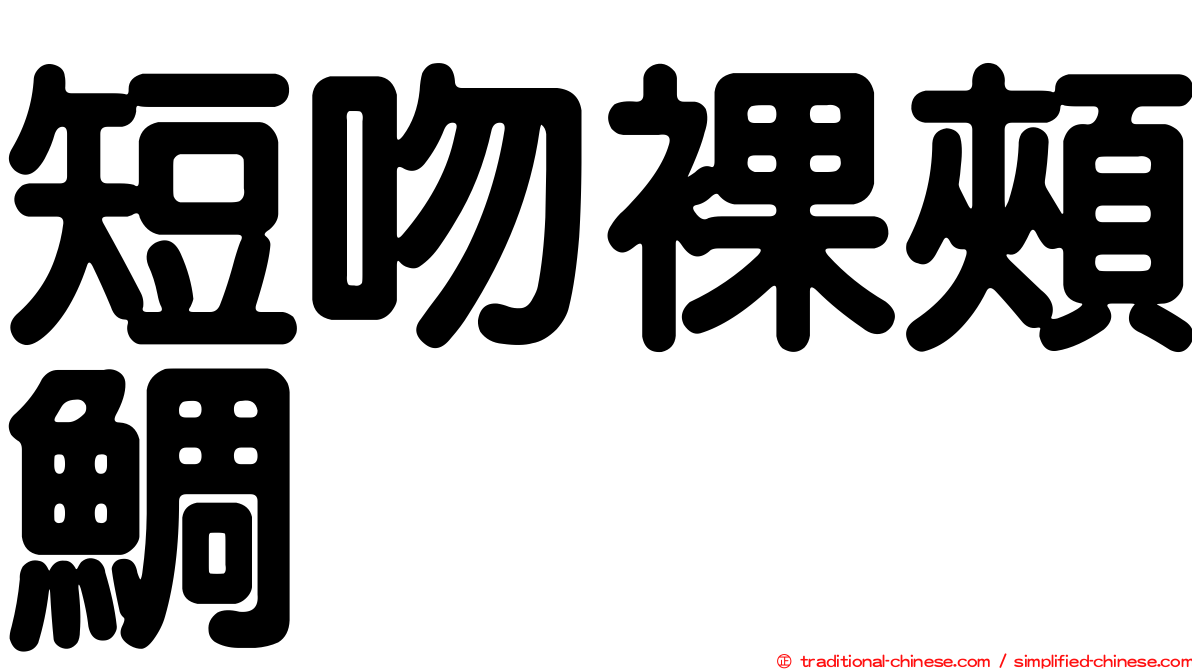 短吻裸頰鯛
