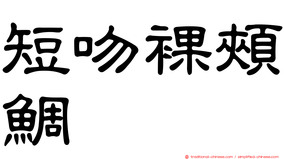 短吻裸頰鯛