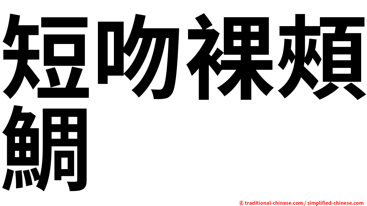 短吻裸頰鯛