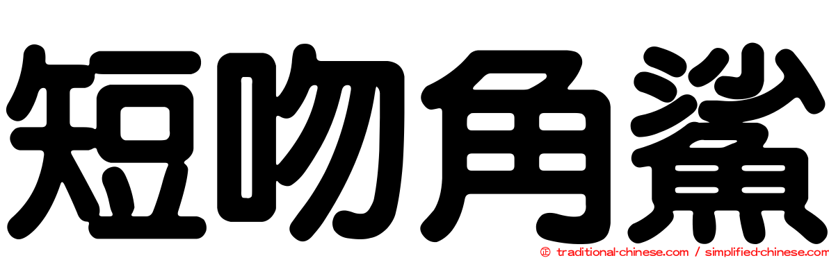 短吻角鯊