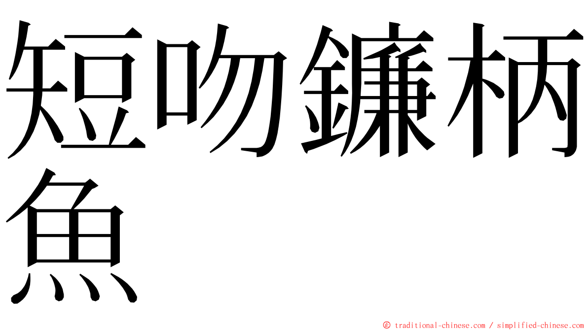 短吻鐮柄魚 ming font