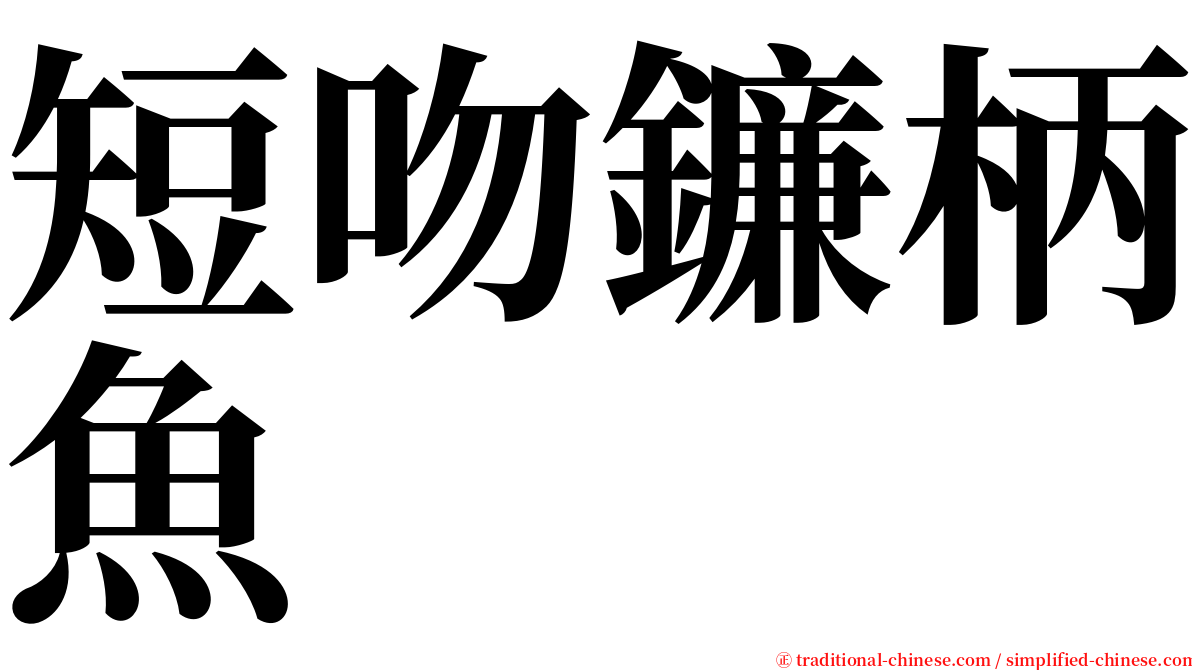 短吻鐮柄魚 serif font