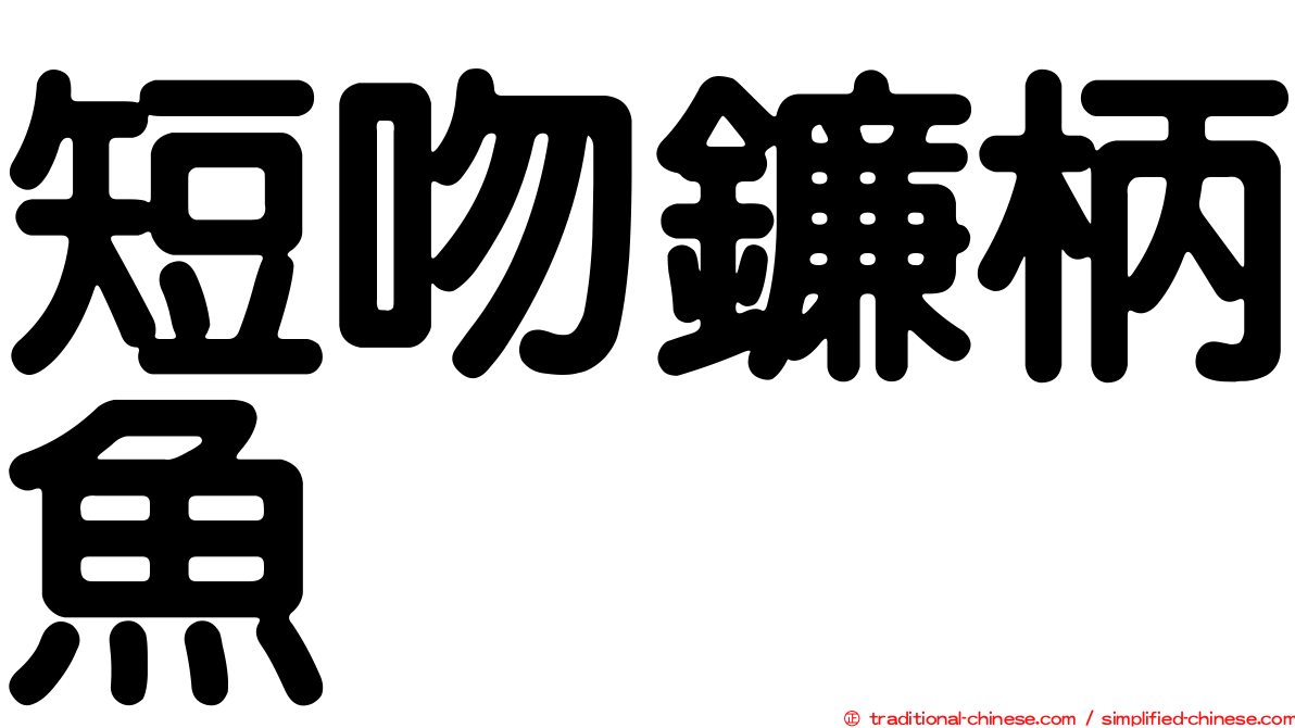 短吻鐮柄魚