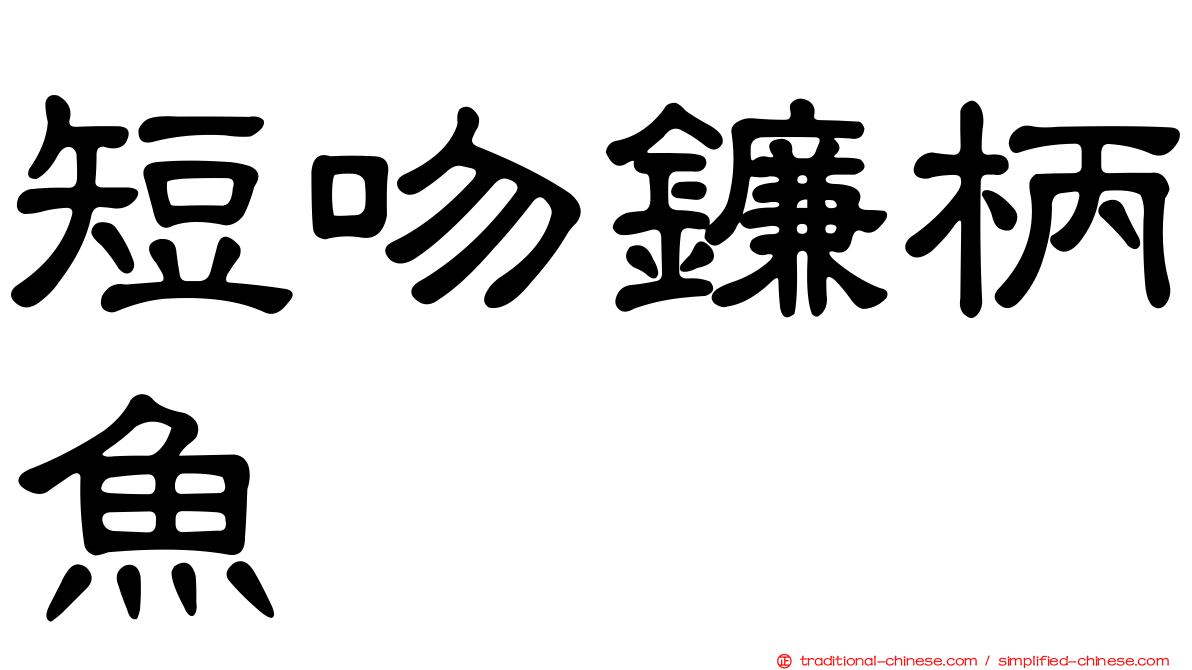 短吻鐮柄魚