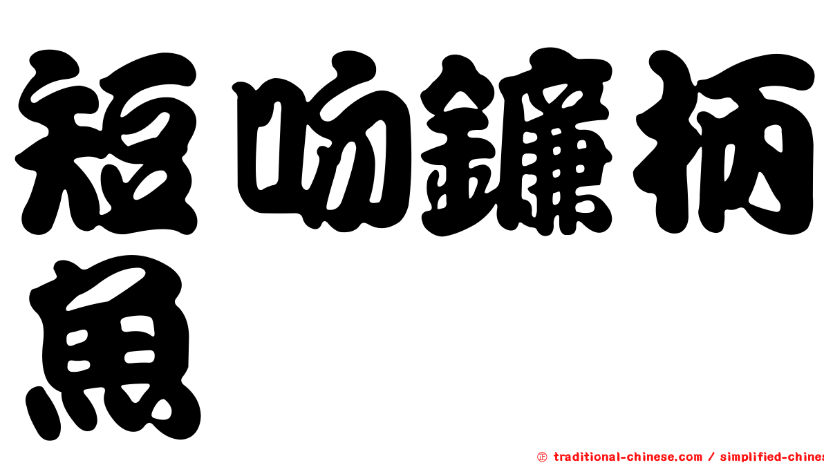 短吻鐮柄魚
