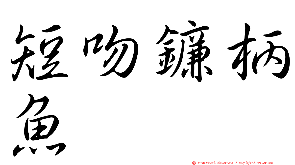 短吻鐮柄魚