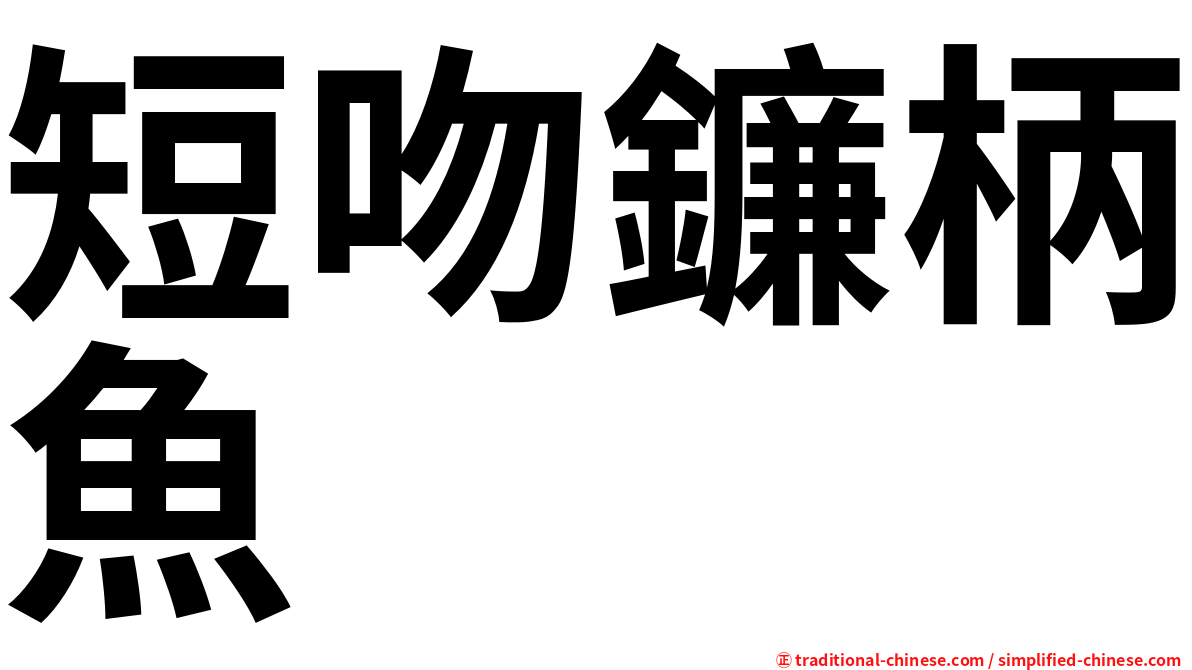 短吻鐮柄魚