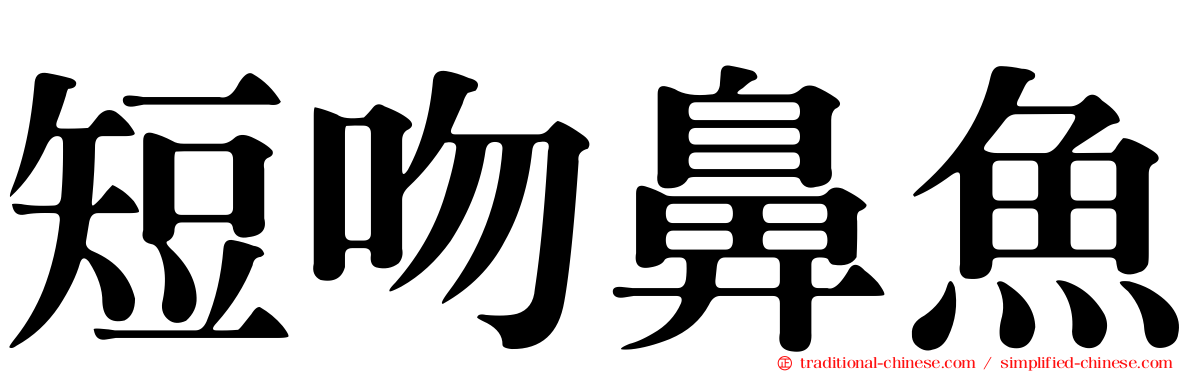 短吻鼻魚