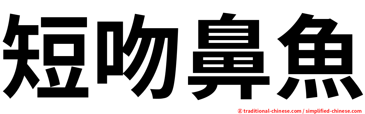 短吻鼻魚