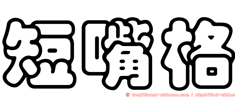 短嘴格