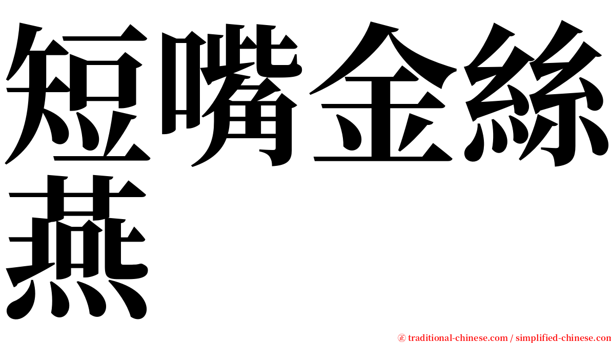 短嘴金絲燕 serif font