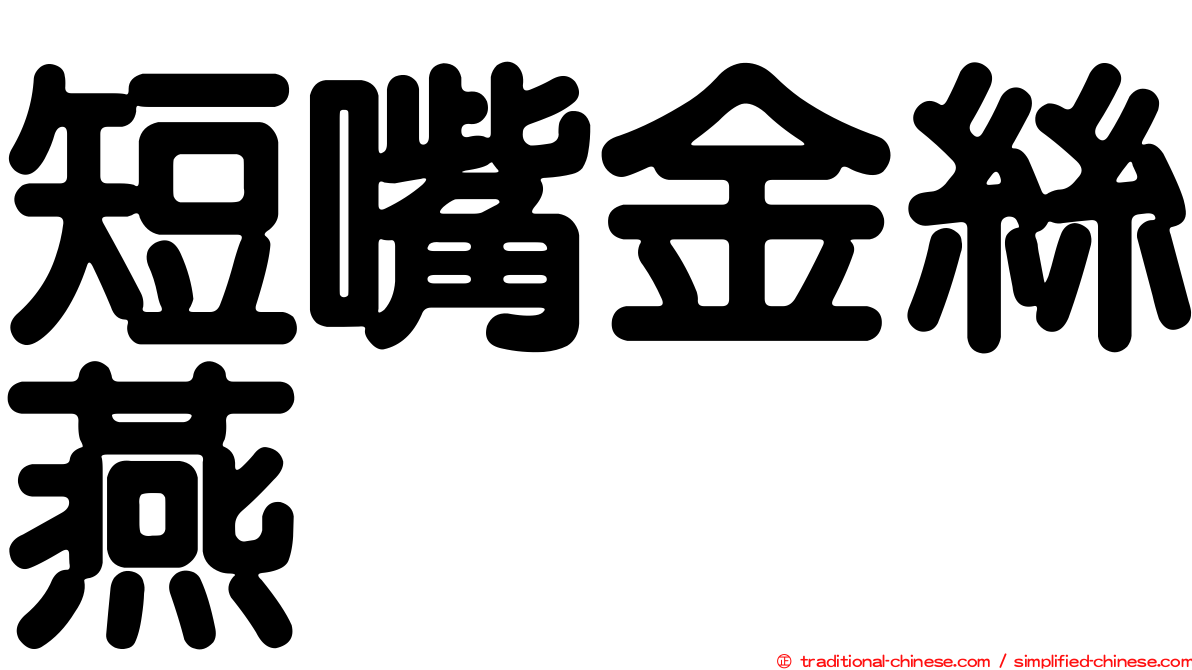 短嘴金絲燕