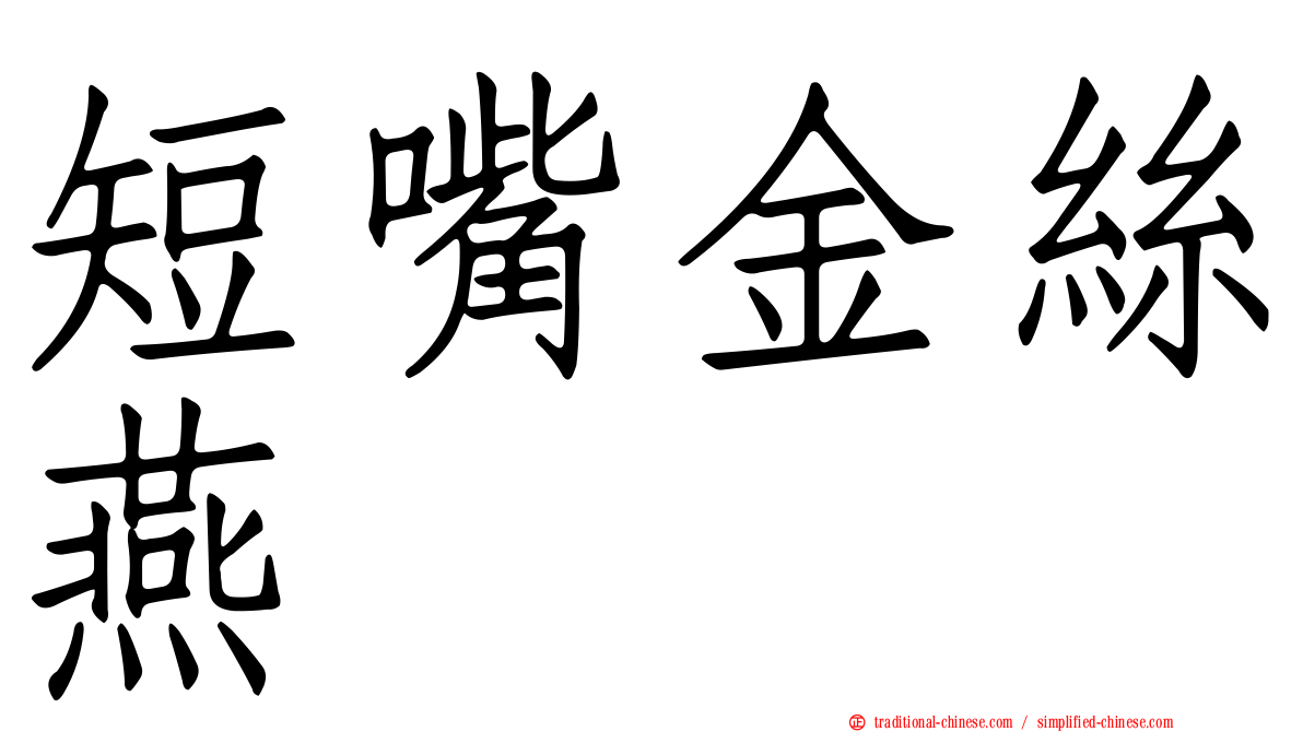 短嘴金絲燕