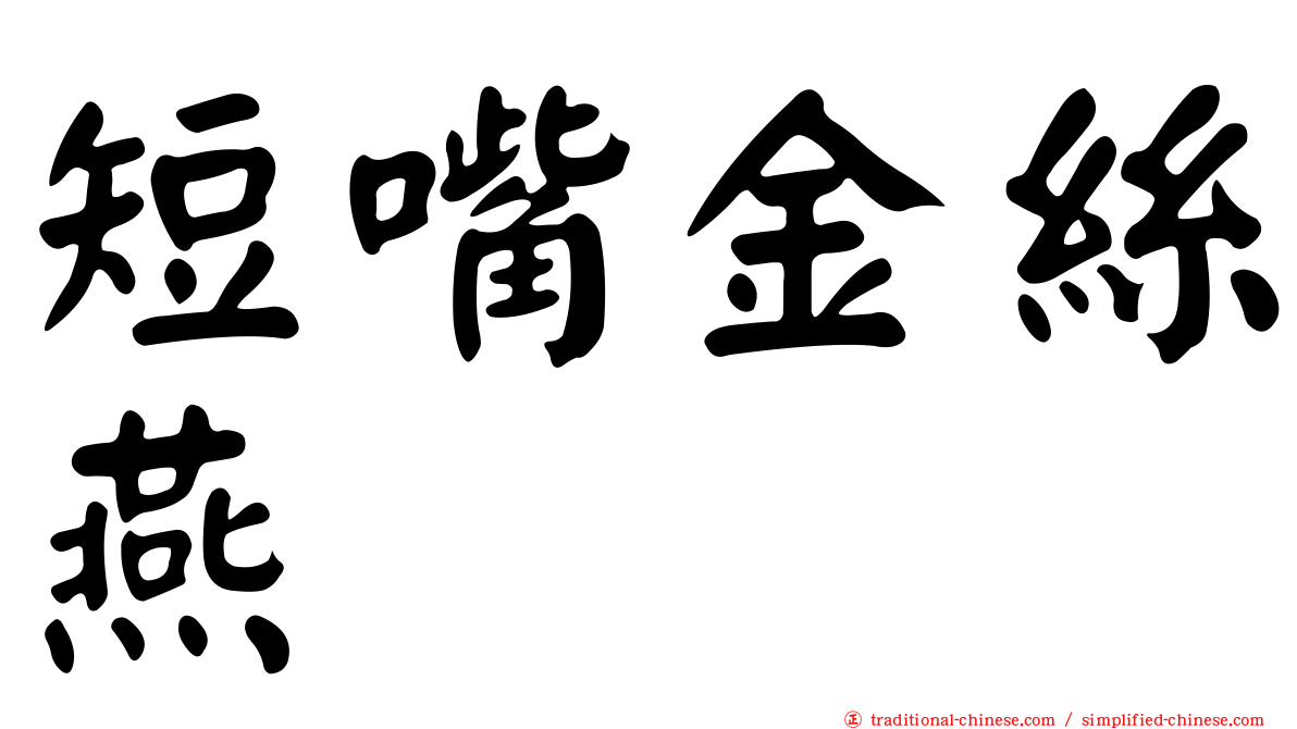短嘴金絲燕