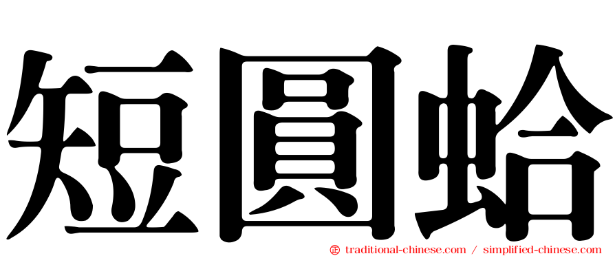 短圓蛤