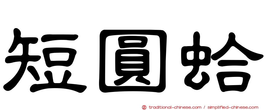 短圓蛤