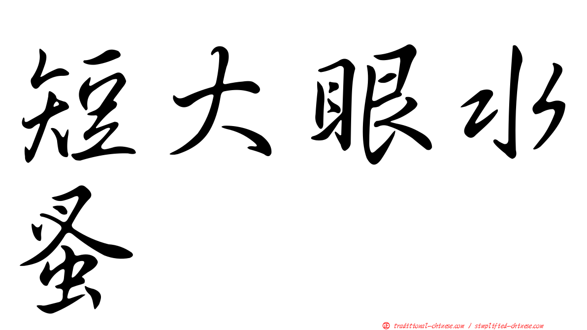 短大眼水蚤